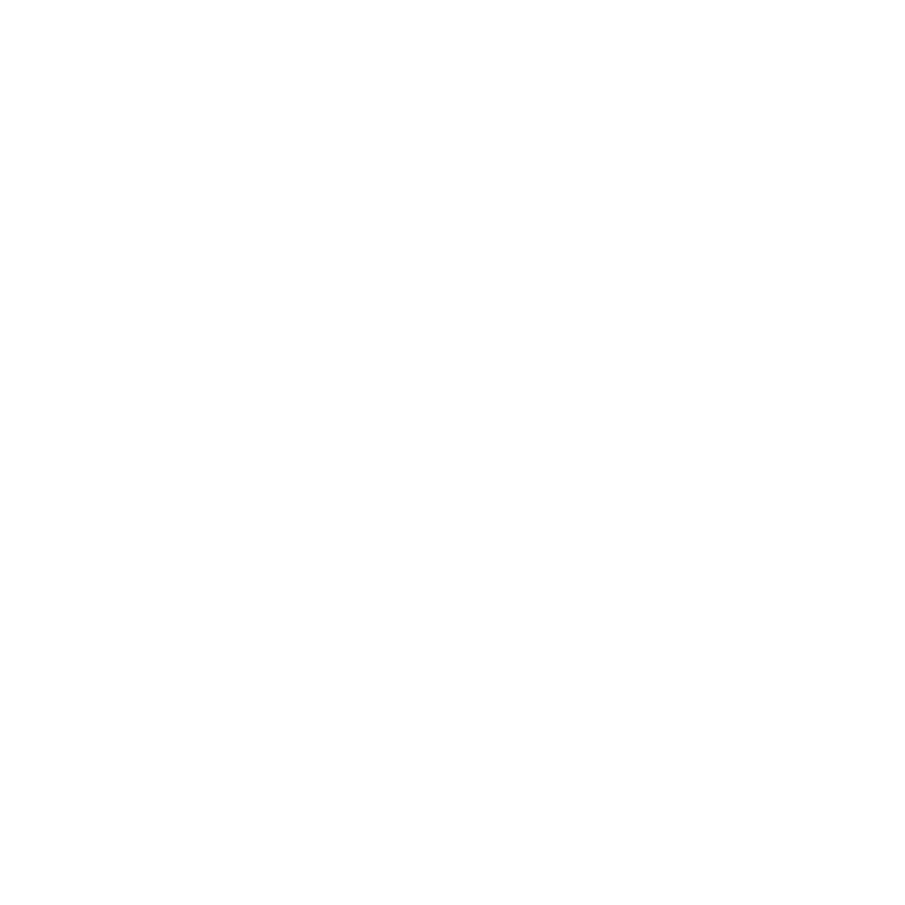 Spotify icon